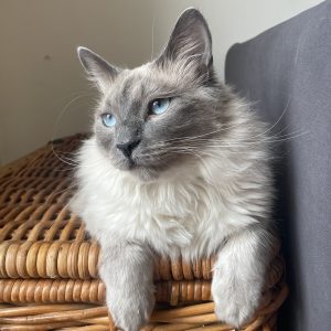 Charlie