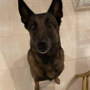 Kali